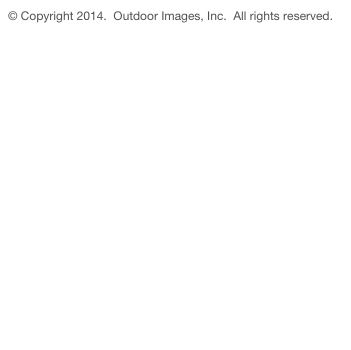 © Copyright 2014.  Outdoor Images, Inc.  All rights reserved.

                             Support@outdoorimages.com












